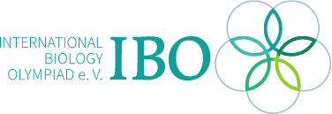 Kết quả hình ảnh cho IBO